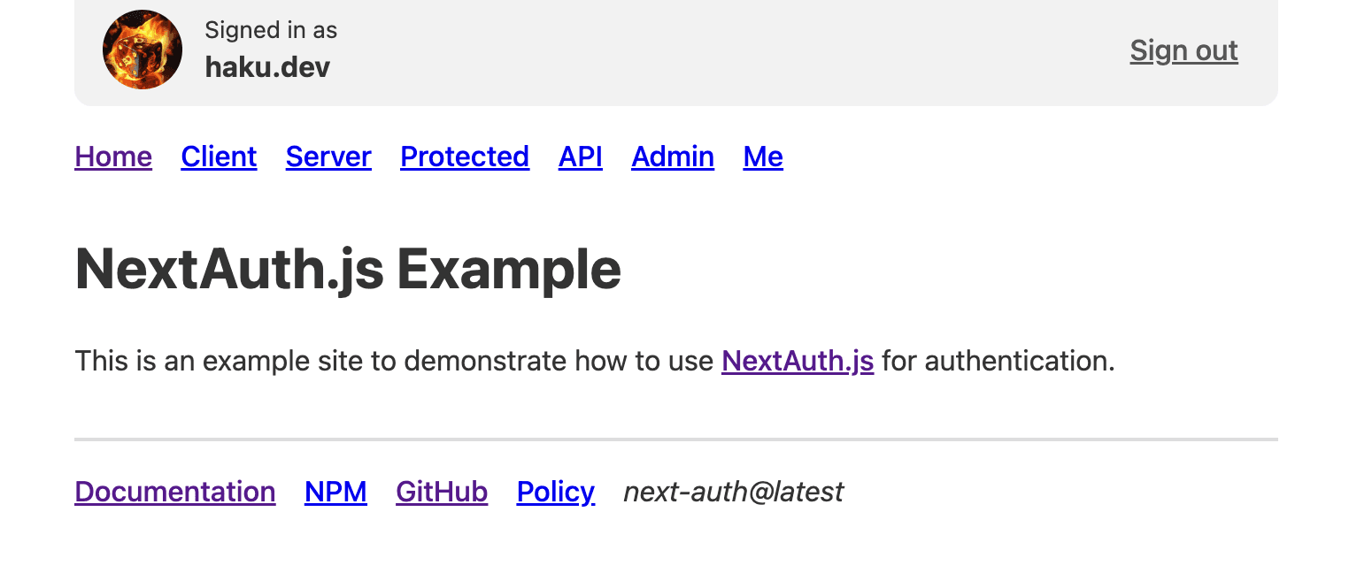 Next-Auth example login